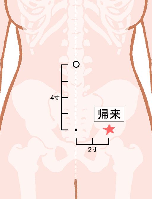 帰来（きらい）：胃経のツボ