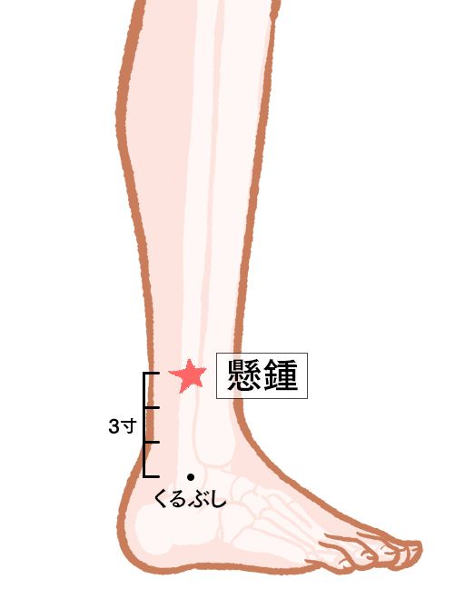 懸鐘（けんしょう）：胆経のツボ