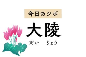 不安感を和らげ心を落ち着かせる効果が高い「大陵」。動悸、息切れ、胸のつかえも軽減