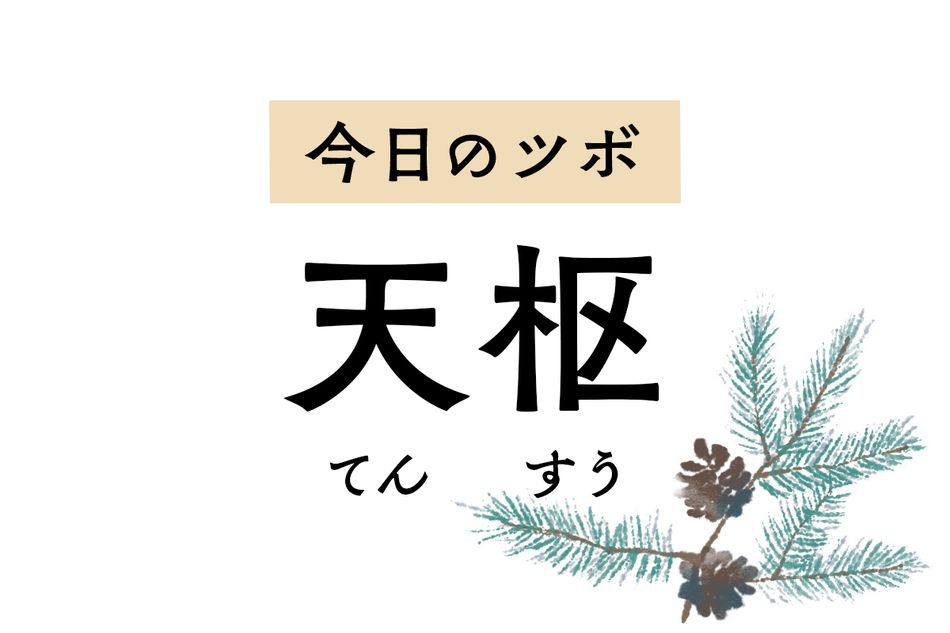 北斗七星の名を冠した「天枢」は、便秘や下痢など腸の不調や月経痛を軽減します