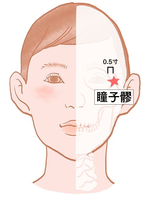 瞳子髎（どうしりょう）：胆経のツボ