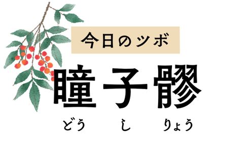 目の充血や痛み、視力低下、近視に「瞳子髎」。疲れ目の人におすすめのツボです
