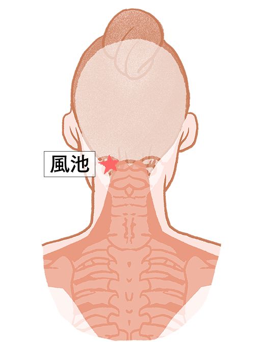 風池（ふうち）：胆経のツボ