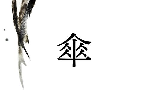 稀少名字「傘」は何と読む？「かさ」ではありません