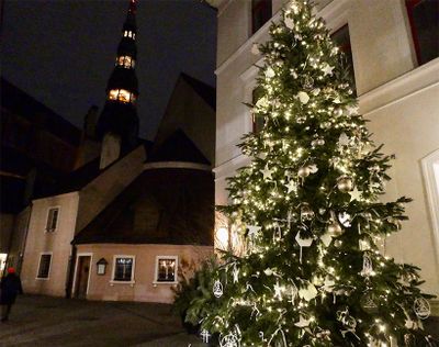 旧市街の石畳の小道は、どこを歩いてもクリスマスの雰囲気が楽しめる。後ろに見えるのは、聖ペテロ教会の塔。クリスマスで彩られた中世の面影を残す街並みは、どこを撮っても素敵。