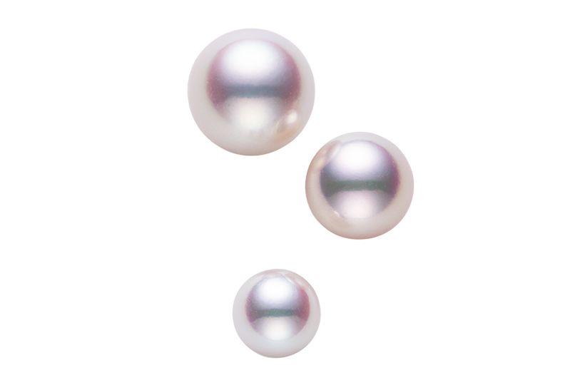 アコヤ真珠のルース。清美堂真珠では、きめ細かな真珠層が幾重にも巻いた艶やかな珠のみが選び抜かれ、ジュエリーに仕立てられる。