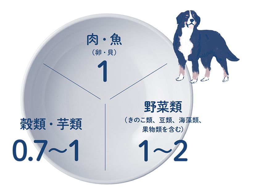 わんこ薬膳の基本の配分。シンプルに1：1：1と考えて、そこから愛犬の状態に応じて足し引きしてもOK。