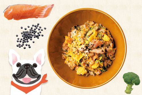 寒い冬、代謝を上げて体を温める「わんこ薬膳」レシピ。腎を元気にして抵抗力もアップ