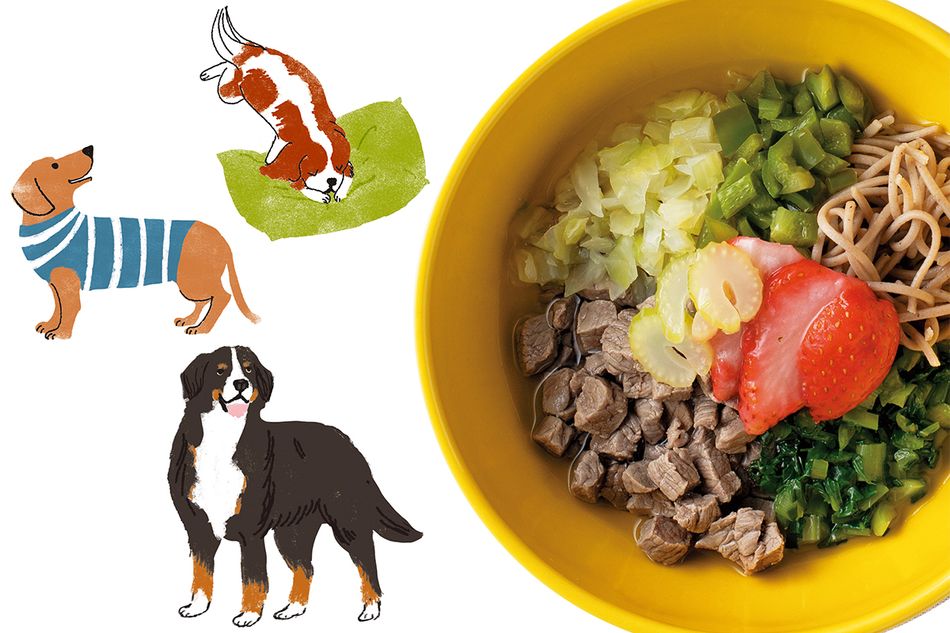 素朴な疑問から「こんなときどうする？」のお悩みまで。わんこ薬膳にまつわるQ&A集