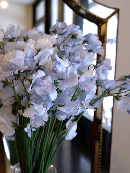 2021年に「フラワー オブ ザイヤー OTA」の新商品奨励賞を受賞した‘アッシュブルー’。天然の花色にはないアンティーク感のあるブルーのグラデーションには、染めの切り花ならではの醍醐味を感じました。