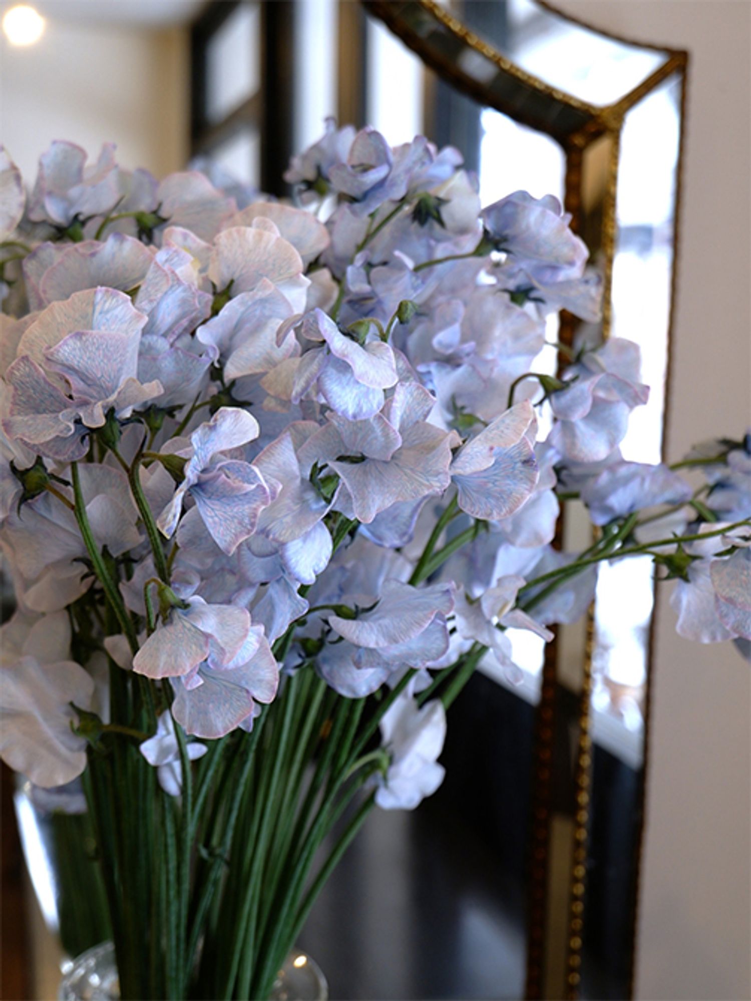 2021年に「フラワー オブ ザイヤー OTA」の新商品奨励賞を受賞した‘アッシュブルー’。天然の花色にはないアンティーク感のあるブルーのグラデーションには、染めの切り花ならではの醍醐味を感じました。