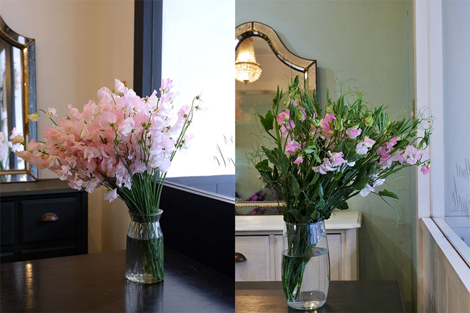 「ファームたかお」さんオリジナルのスイートピー‘ペッシュ’。ペッシュとはフランス語でモモのこと。白にうっすらピンクがのる花色はまさに名前通りのかわいらしさです。 左は従来から出回る直線的な茎で葉がないタイプで、花と花の間が詰まっている。右は葉とつるをそのまま残した枝付きのスイートピー。‘ペッシュ’は2タイプの仕立てで出荷しています。制作したい贈り花に合わせて選べるので、とても助かっています。