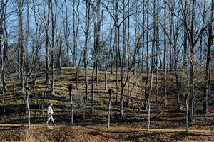 今森光彦さん「いきものと歩む“環境農家”の愉しみ」第10回　雑木林をつくる