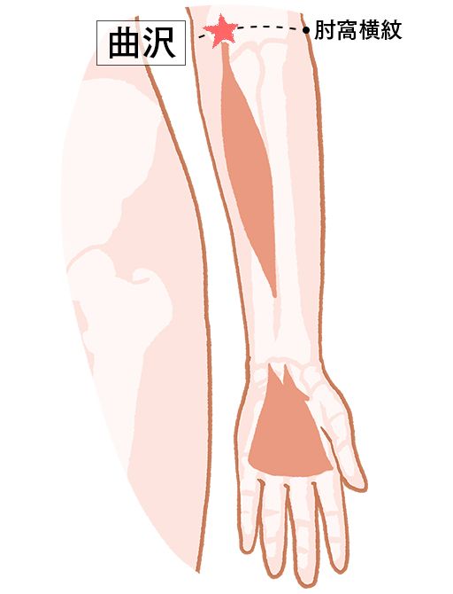 曲沢（きょくたく）：心包経のツボ