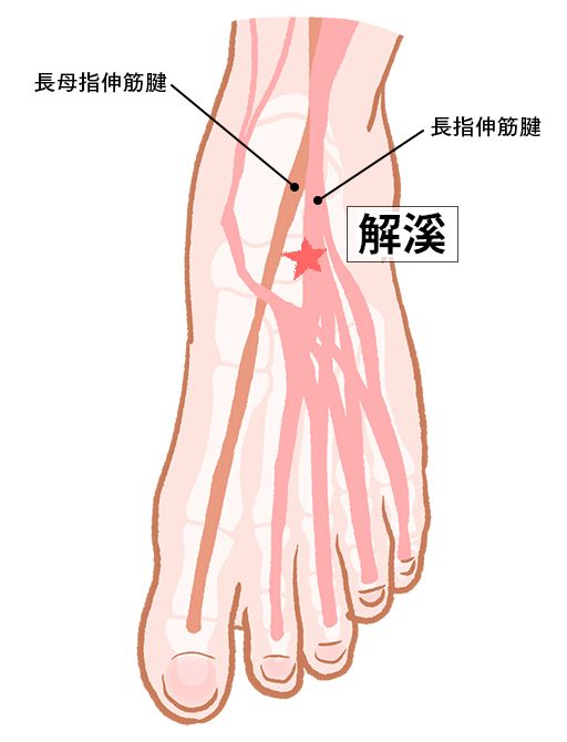 解溪（かいけい）：胃経のツボ