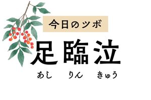 足のツボが目や頭に効く!?「足臨泣」のツボ押しで片頭痛、ドライアイ、耳鳴りが緩和
