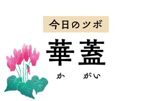 帝王の美しい傘を指す「華蓋」。肺の別称であり、肺疾患を治療するツボ名でもあります
