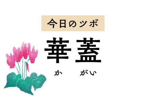 帝王の美しい傘を指す「華蓋」。肺の別称であり、肺疾患を治療するツボ名でもあります
