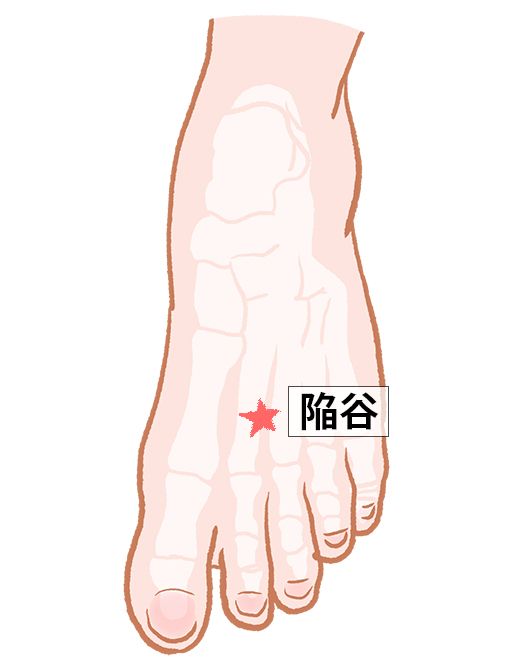 陷谷（かんこく）：胃経のツボ
