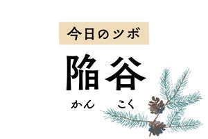 足の甲を刺激すると顔のむくみが改善。お腹が鳴るときや腹痛があるときにもおすすめ