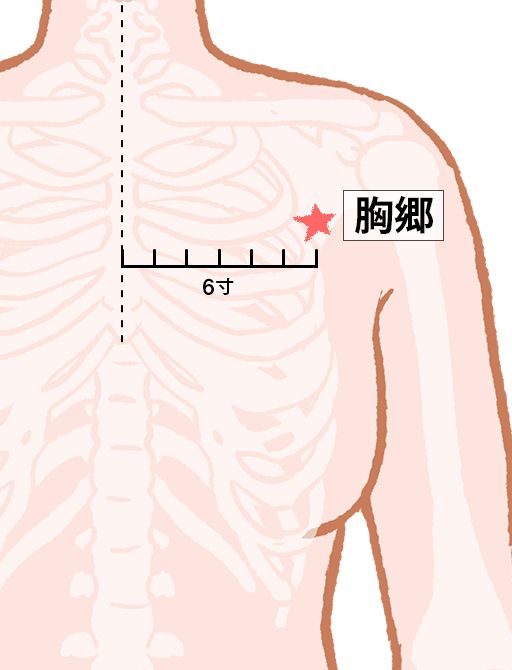 胸郷（きょうきょう）：脾経のツボ