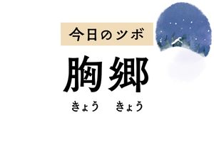 胸の気の巡りをよくしてせきや胸痛を緩和。母乳の出が悪いときにも用いられます