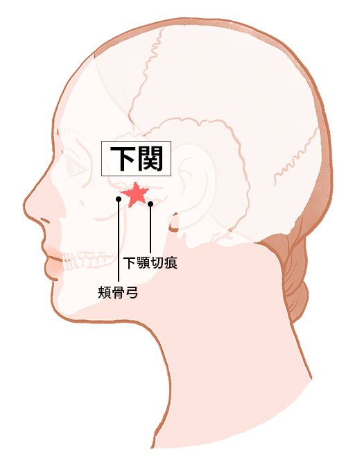 下関（げかん）：胃経のツボ