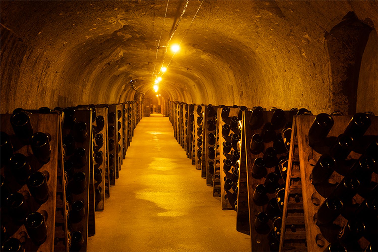 「メゾン ベル エポック」の地下にあるカーヴの総延長は約10km。予約をすれば見学することができる。