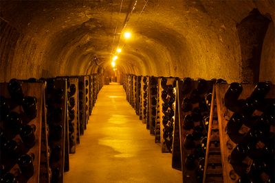 「メゾン ベル エポック」の地下にあるカーヴの総延長は約10km。予約をすれば見学することができる。