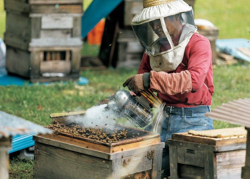 自家農園で採取した非加熱の生はちみつを使用。はちみつガナッシュのショコラは、シグネチャーの一つ。写真／木村正史、ル フルーヴ