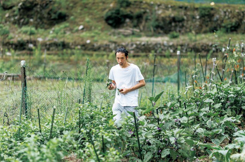 「農家さんにも喜んでもらえるショコラを作り続けたい」と上垣さん。