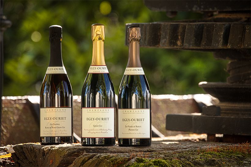 右から・「レ・ヴィーニュ・ド・ビスイユ（Les Vignes de Bisseuil）」は白亜のミネラルを感じる、澄んだ味わい。ピノ・ノワールの力強さとシャルドネの透明感が心地よい「ブリュット・グラン・クリュ（Brut Grand Cru）」は繊細な酸が重なり、豊かな奥行きを持つ。特級畑古樹から生まれる「レ・クレイエール・ブラン・ド・ノワール（Les Crayères Blanc de Noir)」は、愛好家を唸らせる格調高い一本。