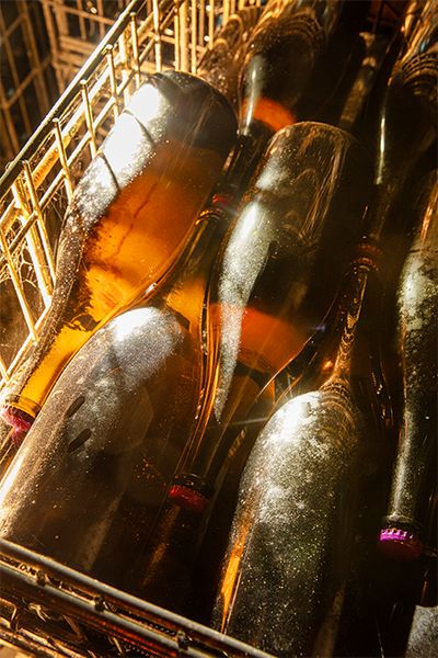 ワインは瓶詰された後、地下のカーヴで熟成の長い時間を重ね、味わいと香りを深める。