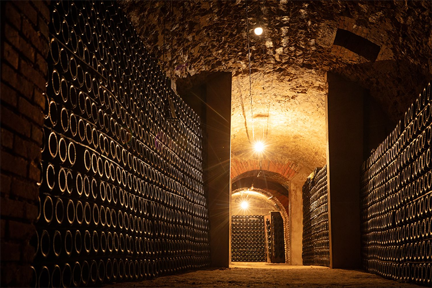 地下のカーヴも予約をすれば見学できる。