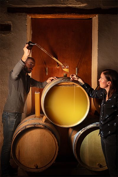 地下のカーヴでワインの熟成具合を確認するヴァランタンさんとシャルロットさん。