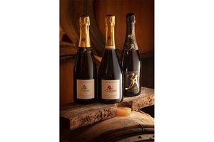 「ド・スーザ」　シャンパーニュ 個性豊かなワイナリーを巡る旅へ