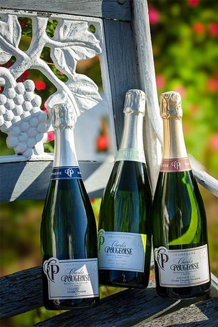 左から、シャルドネ100%のピュアで清らかな「キュヴェ オリジン（Cuvée Origine）」、フレッシュで複雑な香り立ちの「キュベ・ソヴァージュ（Cuvée Sauvage）」、上品な奥行きを備えた「キュヴェ・グラン・レゼルヴ（Cuvée Grande Réserve）」。