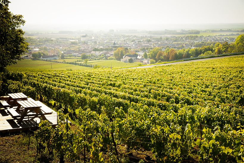 ヴェルテュ村を望むぶどう畑には、自転車ツアーやピクニックで訪れる際に使うベンチが設置されている。