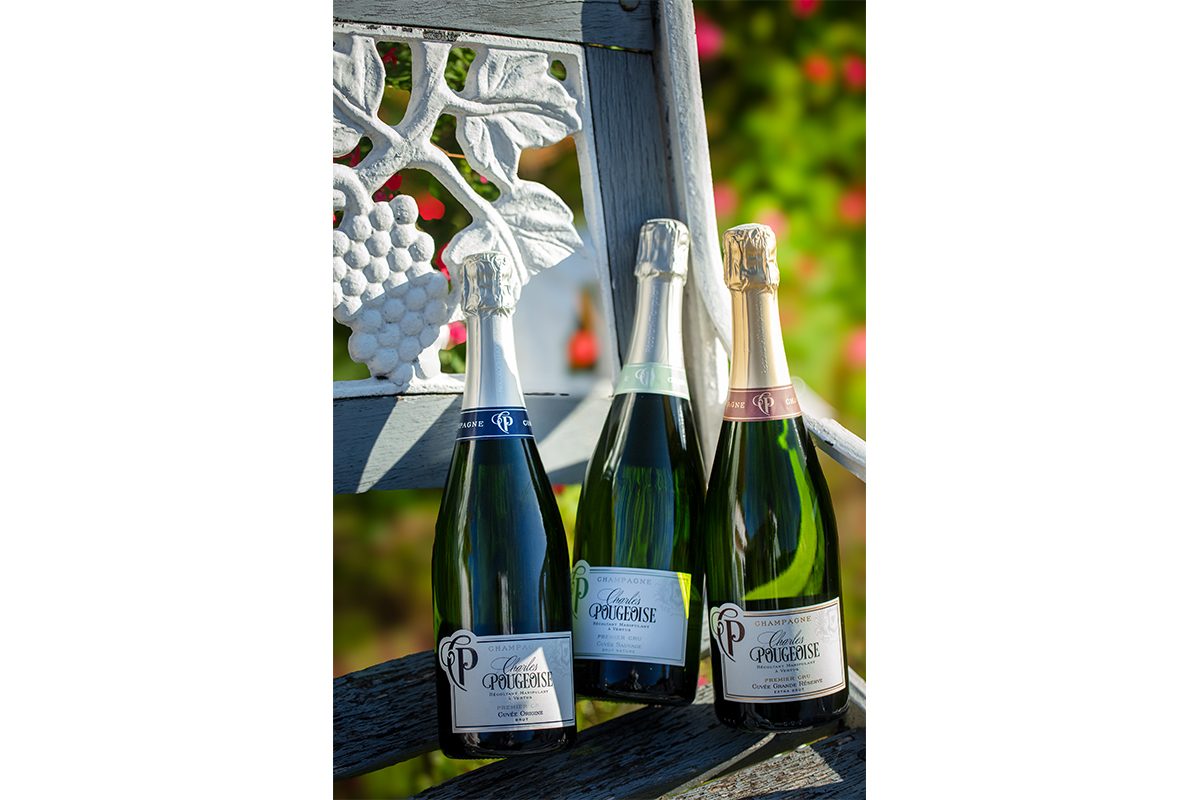 シャルル プジョワーズ」 シャンパーニュ 個性豊かなワイナリーを巡る