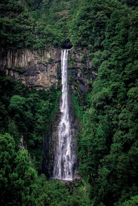 那智の大滝は落差133メートルを誇る日本一の滝。熊野信仰の根底には常に自然への畏敬の念が流れており、断崖をまっすぐに落ちる滝の姿はその象徴として古来尊崇されてきた。熊野那智大社の別宮・飛瀧（ひろう）神社のご神体でもある。
