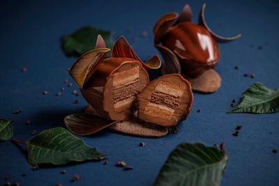 カカオリーフ 1個5,000円