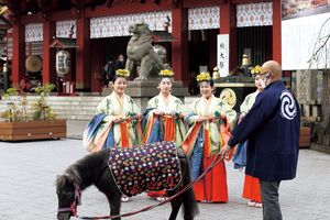 神社ソムリエ 佐々木優太さんの開運指南！江戸総鎮守「神田神社」へ。境内で神馬に出合えることも