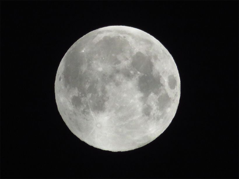 写真／荒木健太郎