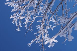 天気予報などでよく聞く「冬日」と「真冬日」の違いとは？