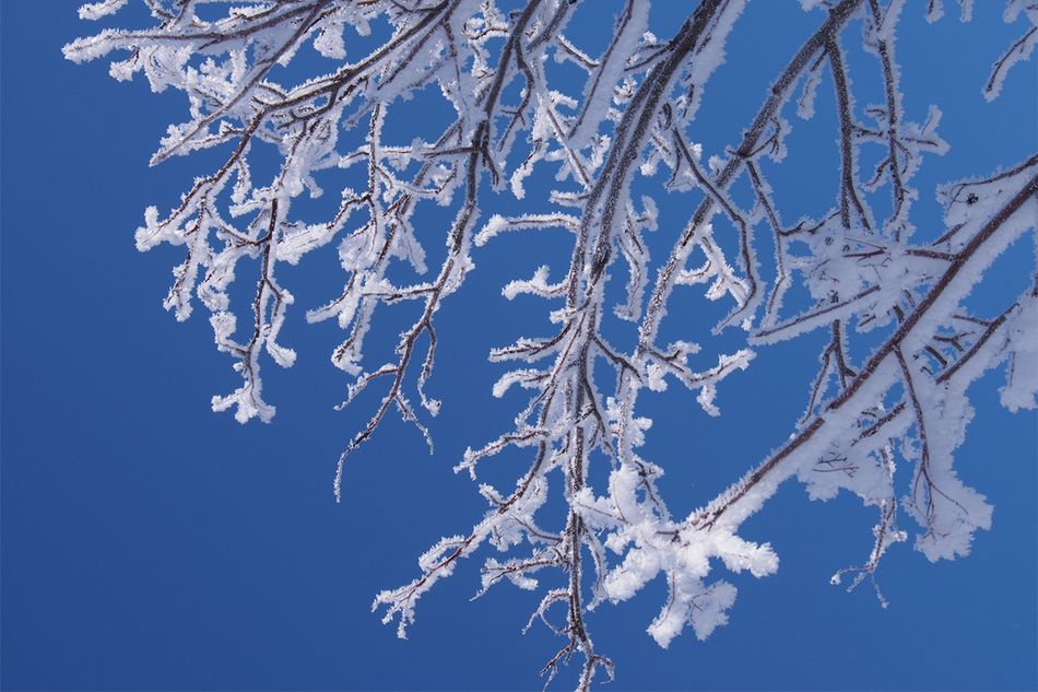 天気予報などでよく聞く「冬日」と「真冬日」の違いとは？