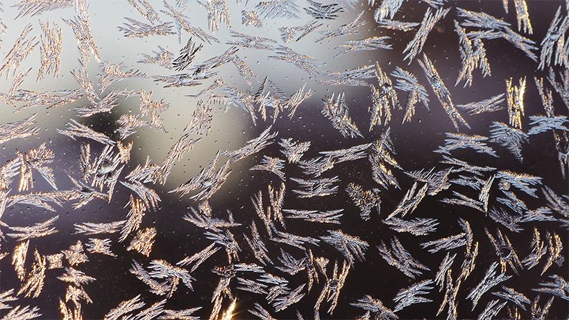 写真／川村にゃ子