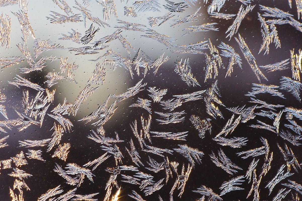 冬の窓ガラスに見られる「窓霜」には様々な形が！ 季節を問わず発生する場所も