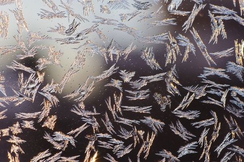 冬の窓ガラスに見られる「窓霜」には様々な形が！ 季節を問わず発生する場所も