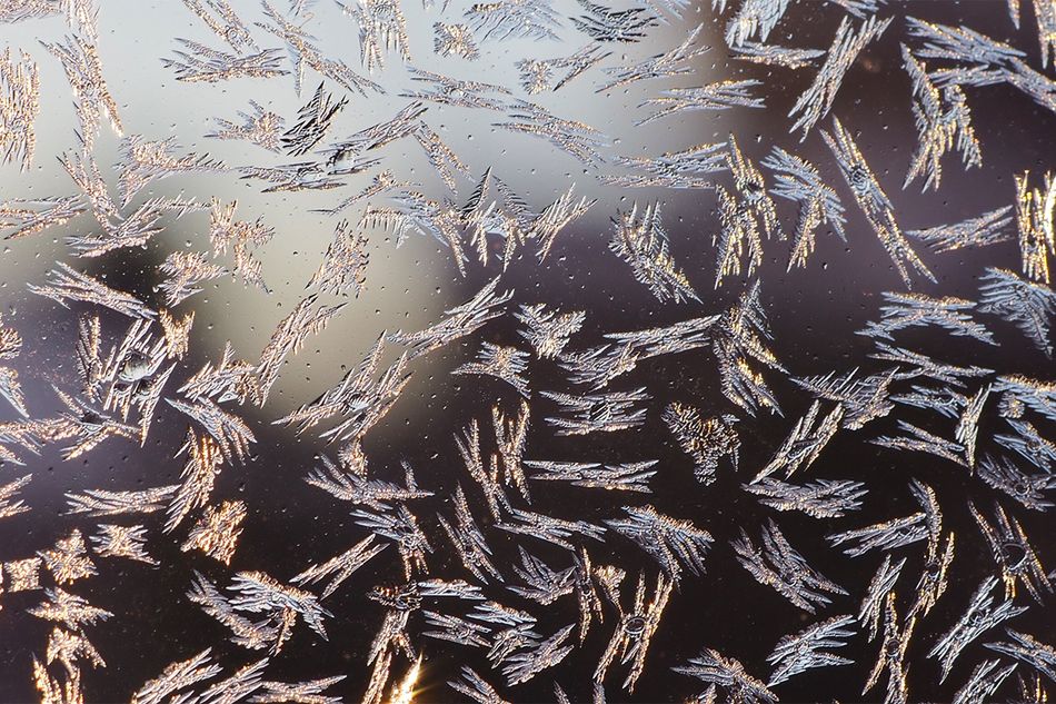 冬の窓ガラスに見られる「窓霜」には様々な形が！ 季節を問わず発生する場所も