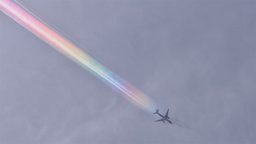 写真／川村にゃ子